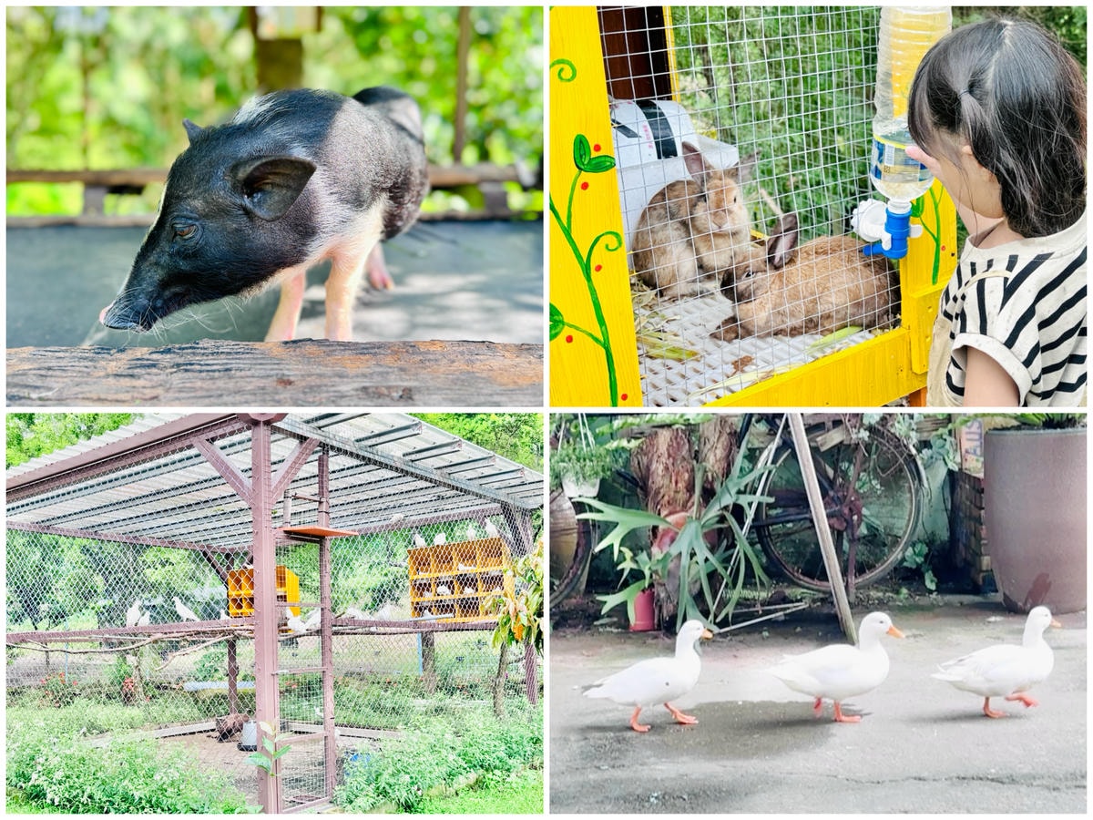 ★嘉義親子露營住宿推薦★『築夢森居』體驗一泊二食野奢露營車，