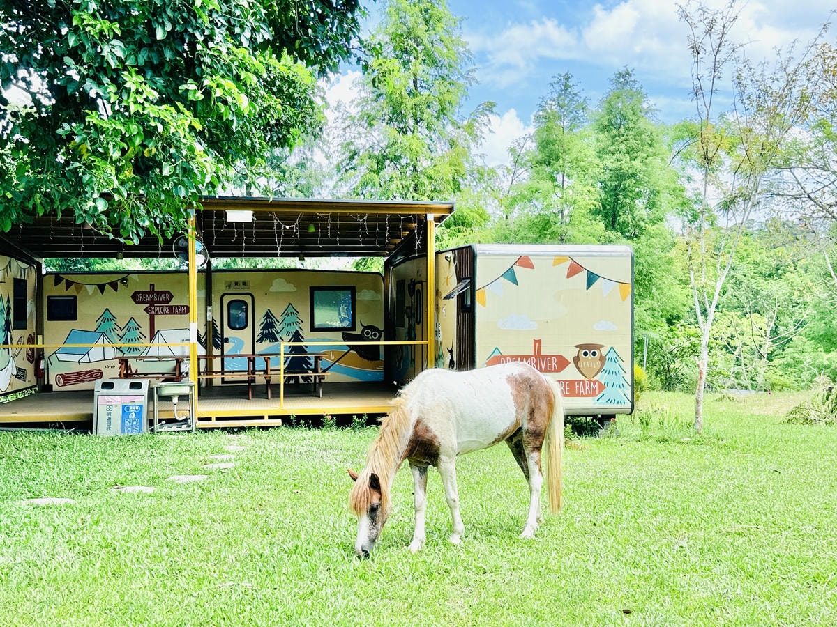 ★嘉義親子露營住宿推薦★『築夢森居』體驗一泊二食野奢露營車，