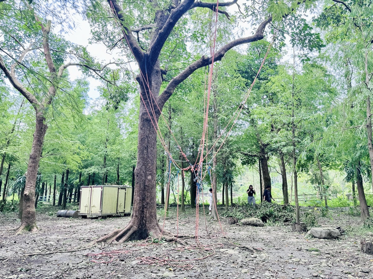 ★嘉義親子露營住宿推薦★『築夢森居』體驗一泊二食野奢露營車，