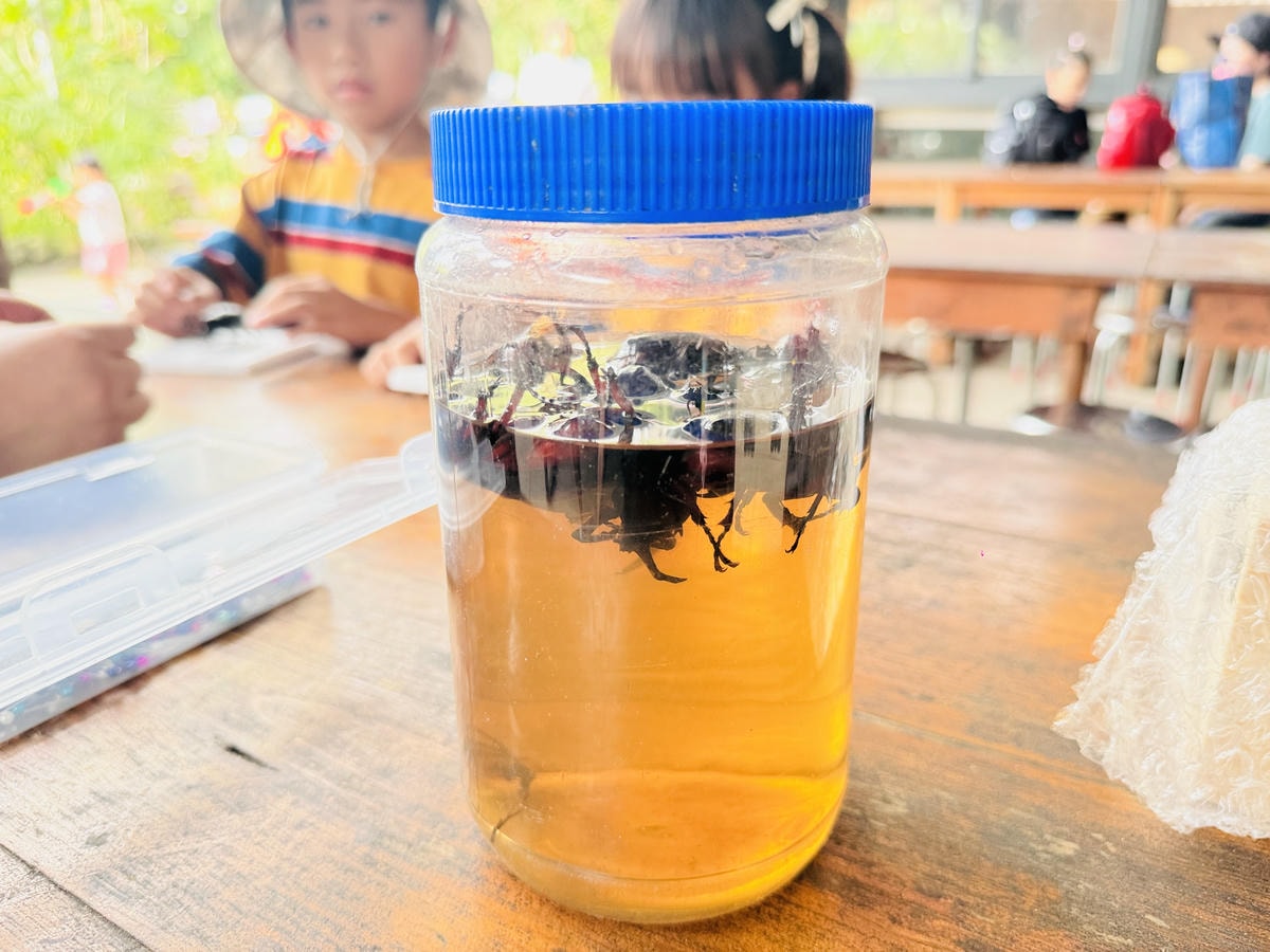 ★嘉義親子露營住宿推薦★『築夢森居』體驗一泊二食野奢露營車，