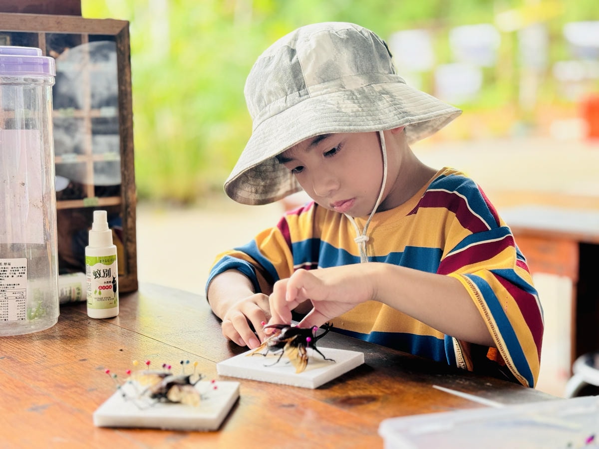 ★嘉義親子露營住宿推薦★『築夢森居』體驗一泊二食野奢露營車，