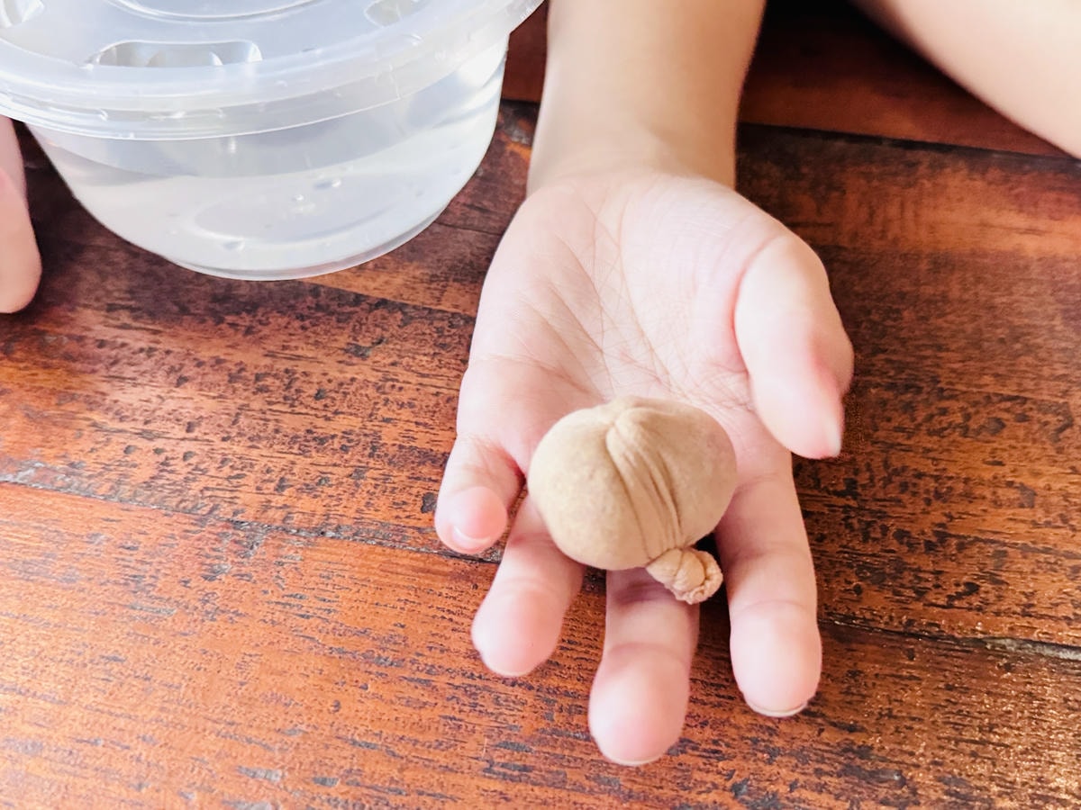 ★嘉義親子露營住宿推薦★『築夢森居』體驗一泊二食野奢露營車，