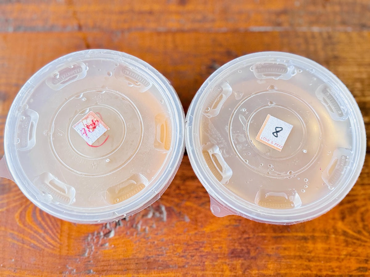 ★嘉義親子露營住宿推薦★『築夢森居』體驗一泊二食野奢露營車，