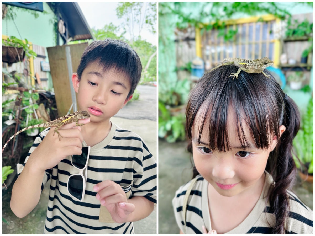 ★嘉義親子露營住宿推薦★『築夢森居』體驗一泊二食野奢露營車，