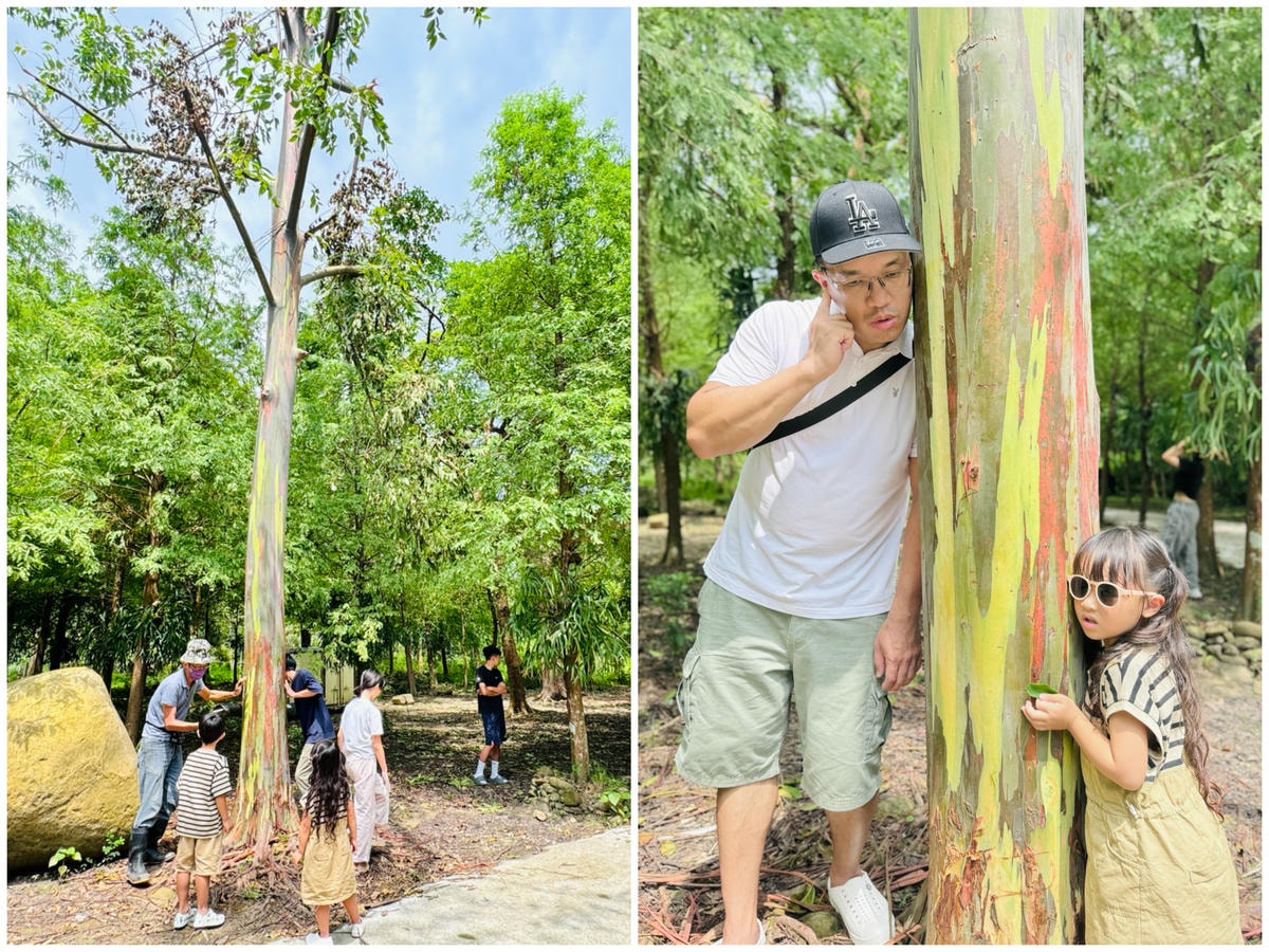 ★嘉義親子露營住宿推薦★『築夢森居』體驗一泊二食野奢露營車，