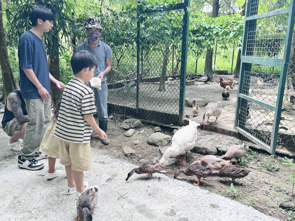 ★嘉義親子露營住宿推薦★『築夢森居』體驗一泊二食野奢露營車，
