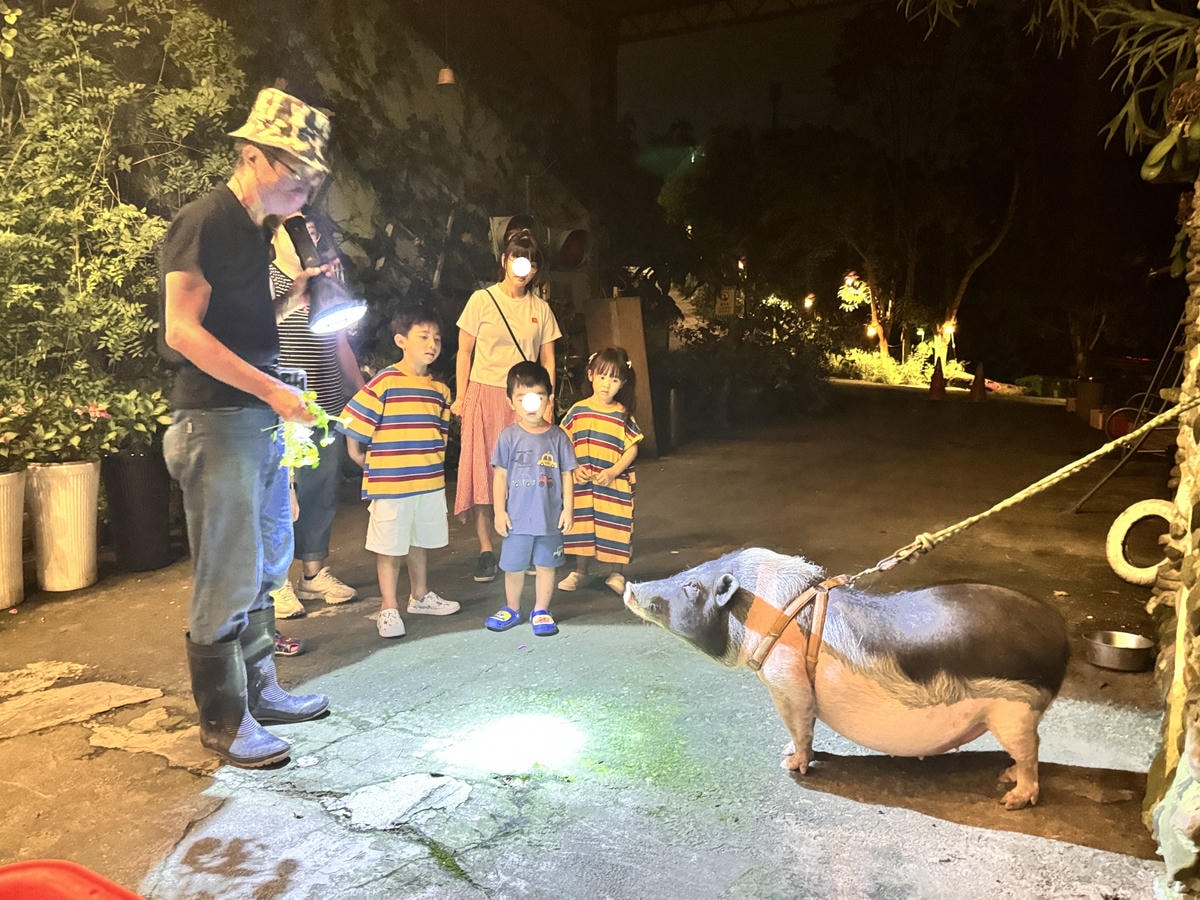 ★嘉義親子露營住宿推薦★『築夢森居』體驗一泊二食野奢露營車，
