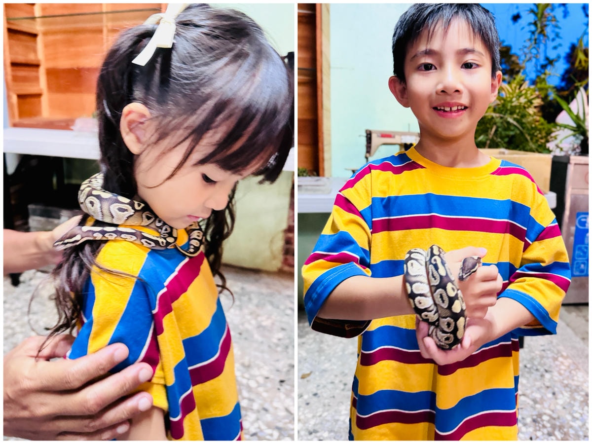 ★嘉義親子露營住宿推薦★『築夢森居』體驗一泊二食野奢露營車，