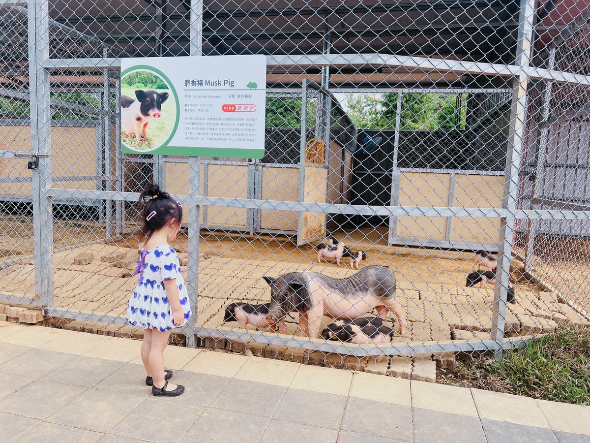 ★桃園親子景點推薦★埔心牧場全新改版2.0登場,最新打卡點『 ★桃園親子景點推薦★埔心牧場全新改版2.0登場,最新打卡點『