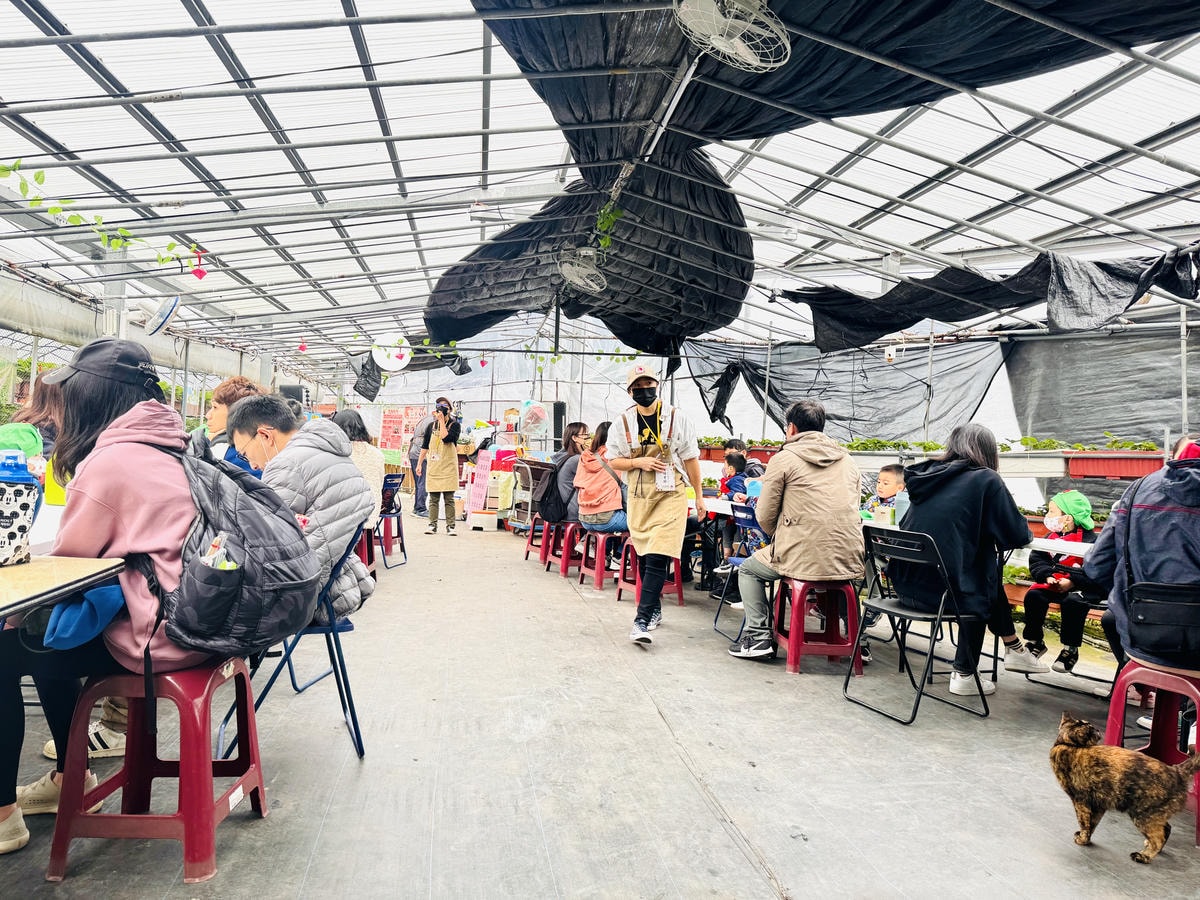 ★台北親子景點推薦★內湖草莓園-碧山路49號*2024年草莓 ★台北親子景點推薦★內湖草莓園-碧山路49號*2024年草莓