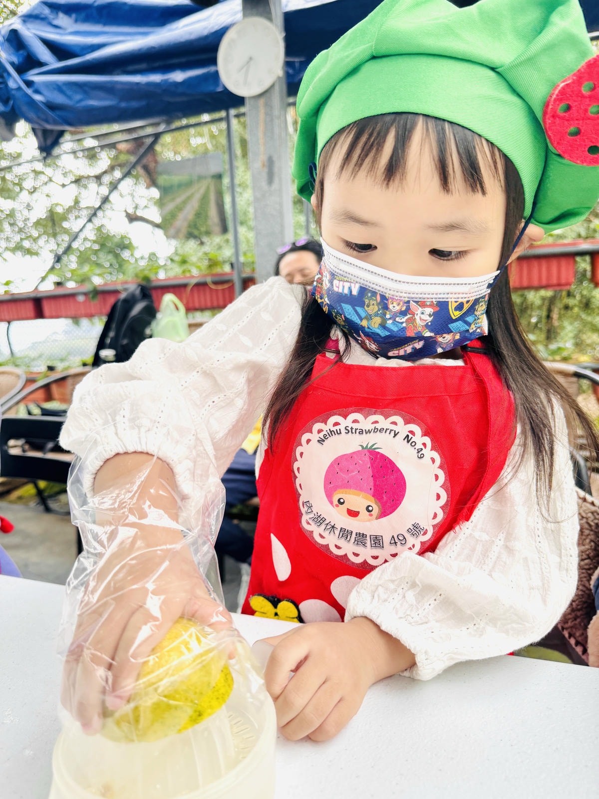 ★台北親子景點推薦★內湖草莓園-碧山路49號＊2024年草莓