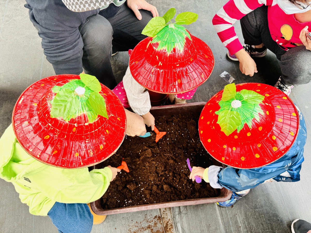 ★台北親子景點推薦★內湖草莓園-碧山路49號*2024年草莓 ★台北親子景點推薦★內湖草莓園-碧山路49號*2024年草莓